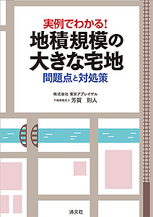 地積規模の大きな宅地　問題点と対処策